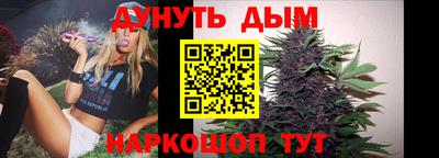 гашик Бердск