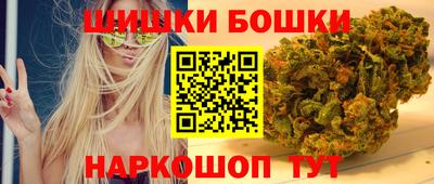 гашик Бердск