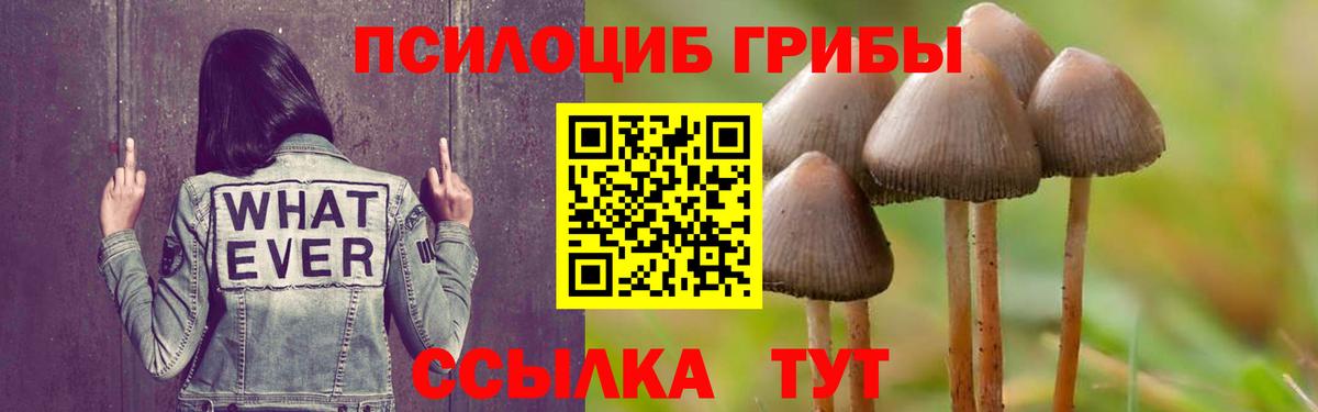 Псилоцибиновые грибы прущие грибы Горячий Ключ