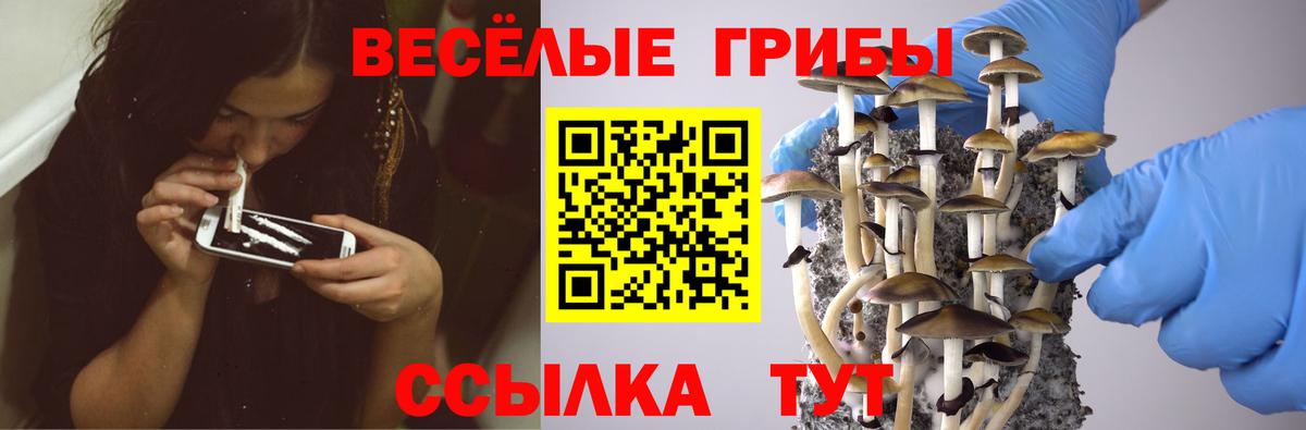 Горячий Ключ  Псилоцибиновые грибы MAGIC MUSHROOMS  даркнет сайт  Вход с VPN 
